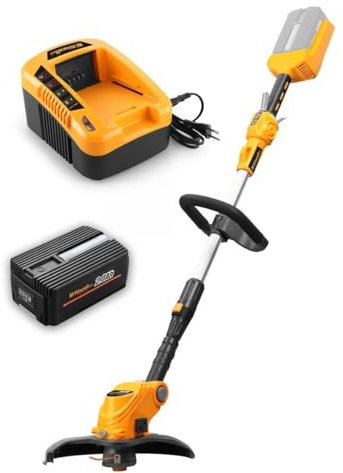 RIWALL PRO RALT 3040 Set – Tagliaerba elettrico a batteria – 30 cm larghezza di taglio – 40 V + caricatore 40 V + batteria 40 V (2 AH)