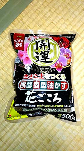 PLATFIRM Keim Seeds: Bonsai Hanagokoro Spezialpackung 1pack = 500 g ge Ball (70-80balls)