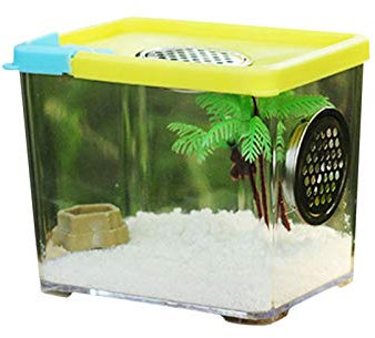 Insect Feeding Box, Acryl-Terrarium-Behälter Für Spinnenechsen- -Skorpion, Tragbarer Kriechender Haustier-Reptilien-Lebensraum, Anti-Flucht-Design Spinnen Terrarium