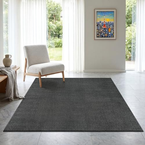 SANAT Kurzflor Teppich Wohnzimmer - Uni Modern Teppiche fürs Schlafzimmer, Arbeitszimmer, Büro, Flur, Kinderzimmer und Küche - Dunkelgrau, 80 x 150 cm