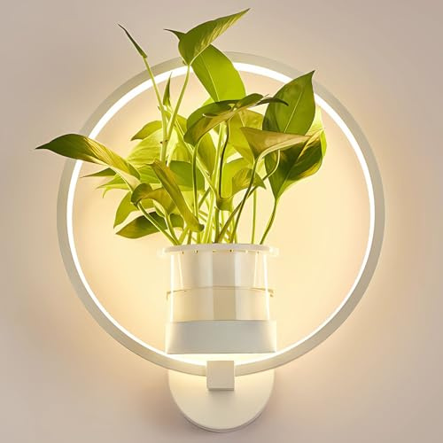 J.SUNUN Lampada da Parete LED Interni Anello Luce Caldo 3000K Applique da Parete Interno Moderno con Vaso da Fiori Lampada a Muro per Soggiorno Camera da Letto Corridoio Scale Illuminazione Bianco