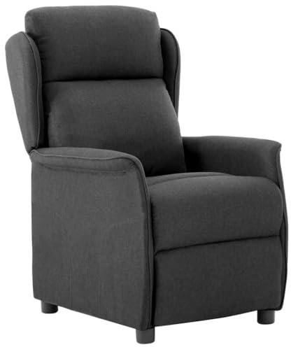 vidaXL Reclinerfåtölj Mörkgrå 66.5 x 94 x 101.5 cm Polyester, Justerbar möbel, modern recliner, kompakt stol, bekväm lounge, hållbart tyg, inomhus sittplatser