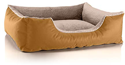 BedDog Hundebett Teddy, Hundesofa aus Cordura und Microfaser-Velours, waschbares Hundebett mit Rand, Hundekissen Vier-eckig, für drinnen, draußen, Größe L, Gold-beige