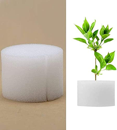 Cafopgrill 100 Pcs Hydroponic Sponge Planting Gardening Tool,Soilless Hydroponics Vegetable Growing System Seedling Sponges Greenhouse(White)