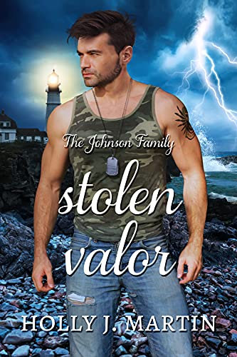Stolen Valor : A military forbidden love, standalone romance (The Johnson Family Book 7)