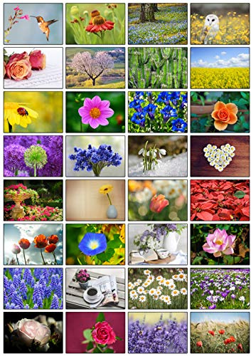 the lazy panda card company 32 unbeschriebene Grußkarten mit verschiedenen Blumen.