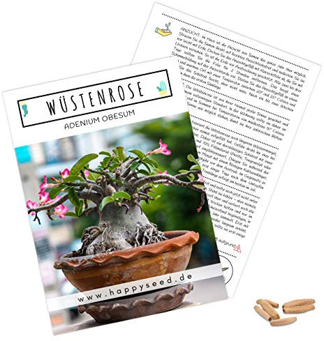 Semillas exóticas de cactus con alta tasa de germinación – Juego de semillas suculentas para tu propio hermoso cactus floreciente