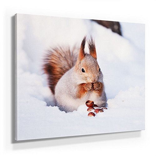 BilderKing Winter Bild D150, 1 Teil 50x50cm Leinwand auf Holzrahmen aufgespannt, FineArt Print, UV-stabil und wasserfest, Kunstdruck für Büro oder Wohnzimmer, Deko Bild