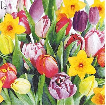 20 Servietten 33x33 cm Tulpen im Frühling als Frühlingsbote