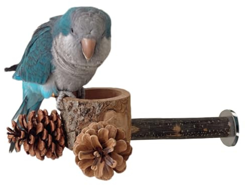 lyanny Perchoir à Oiseaux, Distributeur de Nourriture 2 en 1 en Bois, Jouet de Cage, perchoir avec gamelle, pour l'entraînement, Les Jeux, Les grignotements, enrichissement pour Fink Konure