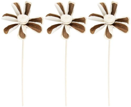 Dianzan Diffusore, 3 Pezzi Aromaterapia Diffusore di Fragranze in Rattan Senza Fuoco Aromaterapia Bastone in Rattan Diffusore di Fiori Bastone per Aromaterapia Decorazione della Casa