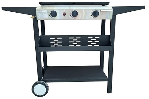 Portable 3 Burner Gas Grill BBQ Stainless Steel Outdoor Propane Cooktop & Stand
