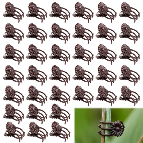 Miunpri Plant Clips For Climbing Plants Hooks 100pcs Orchid Supports Clips Plastic Trellis Clip For Gardening Tomato Rings For Outdoor Plants Stem Ties Support For Fixing Plants To Frame