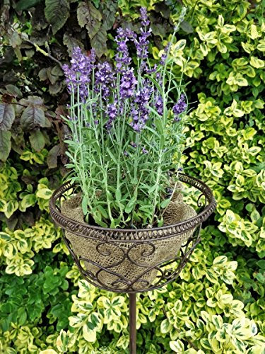 Manufaktur Lichtbogen Blumenkorb aus Metall zum stecken - 100 cm - Gartenstecker Pflanzenkorb Metallkorb