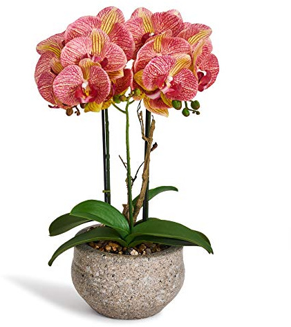4Ever Green Künstliche Große Kunstblumen Orange Helllila Orchidee Phalaenopsis Künstliche Blumen Deko Kunstpflanze Kunstblume im Grau Zement Topf, 42 cm Hoch