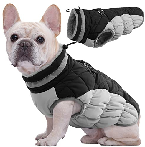 Kuoser Hundemantel Wasserdicht Warm Hundejacke für Mittelgroße Hunde, M | Wasserdichter Wintermantel Hund, Warme Hunde Winterjacke mit Reißverschluss, Reflektoren, D-Ring und verstellbarem Kordelzug