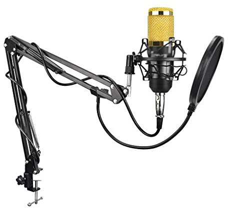 senza rumore professionale 3.5-XLR registrazione microfono a condensatore per computer scheda audio live karaoke (colore: oro)