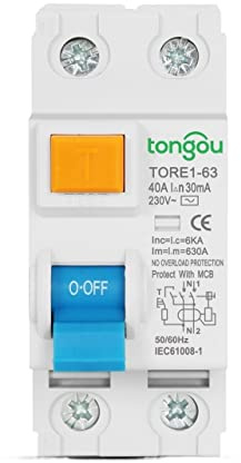 Diferencial Auto Rearmable 2P 16A 63A 10mA 30mA 100mA 6KA RCCB RCD 230V disyuntor de corriente Residual electromecánico interruptor de seguridad diferencial Diferencial Auto Rearmable(2Pole 10mA,40A)