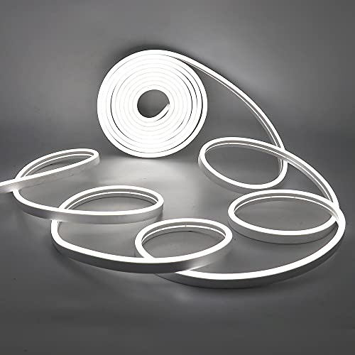 XUNATA Striscia LED al Neon Dimmerabile con Interruttore Dimmer Tattile, Nastro Leggero a Corda Flessibile DC 12V, Fai da te Home Art Decor Luce Pubblicitaria Commerciale (Bianca, 1m)