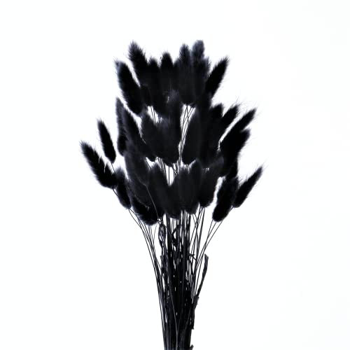 HDKAJL Pampasgras Getrocknet, 50 Stück Pampasgras Trockenblumen Deko, Bunny Tails Trockenblumen Klein Groß Schwarz, Natürliche DIY Trockene Blüten Strauß für Hochzeit Boho Wohnzimmer Schlafzimmer Deko