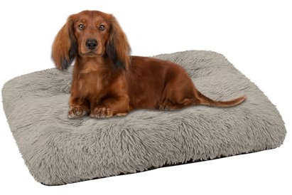 Domarex Hundebett Katzenbett weich flauschig 70x50 cm - orthopädisches Haustierbett für kleine Hunde & Katzen - rutschfestes, pflegeleichtes Kuschelkissen aus Polyester mit Silikonfüllung - Beige