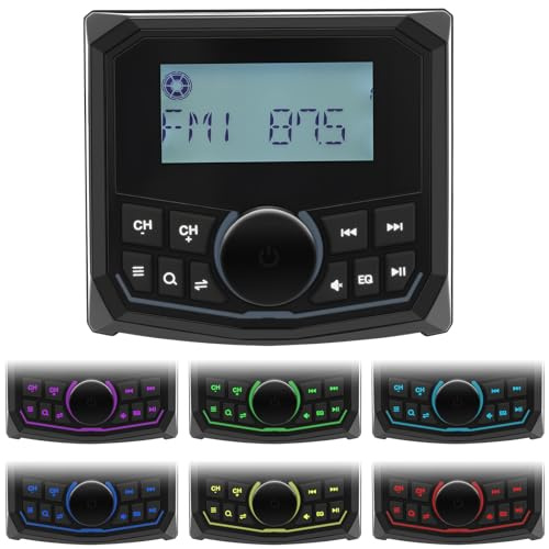 Liwogi Marine Stereo Radio MP3 Player Receptor FM Am Dab+ Reproductor 12V Estéreo Marina Impermeable BT Conexión Equipo Música Barcos para Boot Barcos Yates Marine