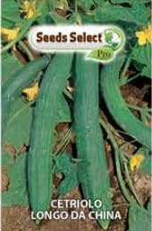 Cetriolo Lungo da China, Semi di Ortaggi in Bustina