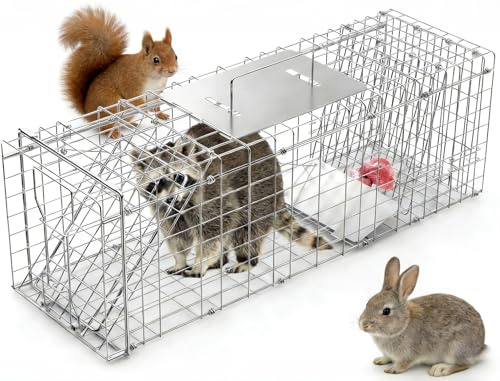 31 Live Animal Cage Trap, Heavy Duty Humane Large Foldable Catch Release Cat Trap for Stray Cats Raccoons Squirrel Skunk Groundhog Armadillo Rabbit (31 Trap Cage)
