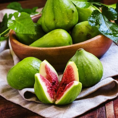 Comprar semillas de higuera - higuera para lugares soleados higos zapote, resistentes en maceta orgánicas 250pcs