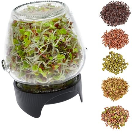 MIKONI Sprossenglas 580ml mit Samen Glas Set mit Deckel Schwarz Sprossenbox Keimglas, Keimkasten