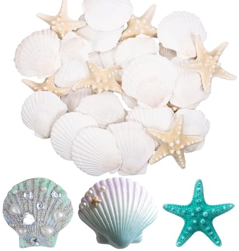 Fzyisw 30 conchas naturales y estrellas de mar decorativas, 6-8 cm, vieiras blancas naturales, estrellas de mar, pintables para manualidades, decoración de fiestas en la playa, decoración del hogar