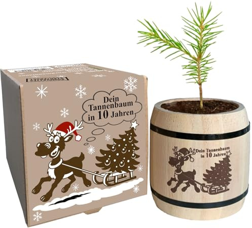 Wichtelgeschenk Weihnachtsbaum Anzuchtset - witziges Geschenk für Weihnachten, Nikolausgeschenk, Julklapp, Tannenbaum als komplettes Starter Set
