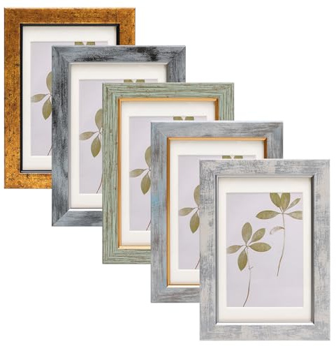 Fixwal 4x6 Picture Frame Set of 5 with Tempered Glass, Multicolor
