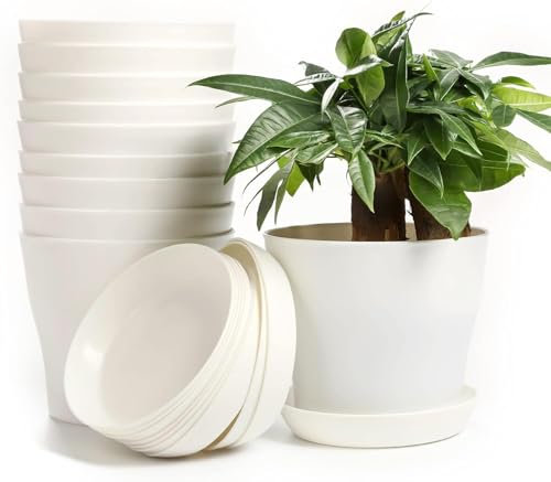 MUETKNYE 10 Pcs 5.5 Plastic Planters Indoor Flower Plant Pots, Medium Flower Seedlings Nursery Pot/Planter/Flower Pot with Pallet, Modern Decorative Gardening Containers (White, Medium)