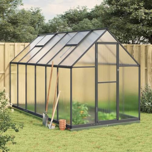 Amorsee Gewächshaus Aluminium mit Fundament 334 x 169 x 202 cm Gewächshäuser Alu mit Fundamentrahmen Gewächshaus Glas Tomatenhaus Aluminium Anthrazit