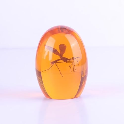 Rufevee Diseño excepcional Figuras pisapapeles Adornos de Escritorio; Imágenes 3D Mosquito ámbar pisapapeles