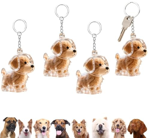 Rosqmor 4 Stück Schlüsselanhänger Hund, Haustier Haar Keychain Hundehauer Aufnahmebox, Schlüsselanhänger für Tierhaare, Geschenk für Hundebesitzer Hunde Erinnerung Bag Charm