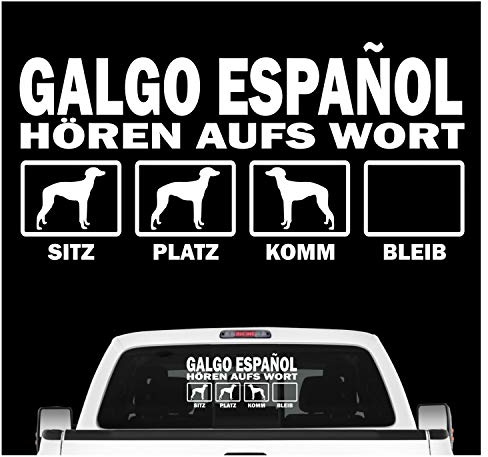 siviwonder Galgo Espanol hört aufs Wort Hunde Auto Aufkleber Autoaufkleber Hund Folie-Copy Farbe Weiß, Größe 20cm