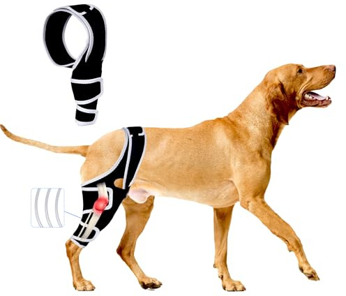 Hunde-Kniebandagen für Hinterbein, Kniebandage für Hunde mit gerissenem ACL Hinterbein oder Vorderbein, Hilfe zur Schmerzlinderung, Arthrose, Bänderverletzungen, verstellbare Beinstütze für