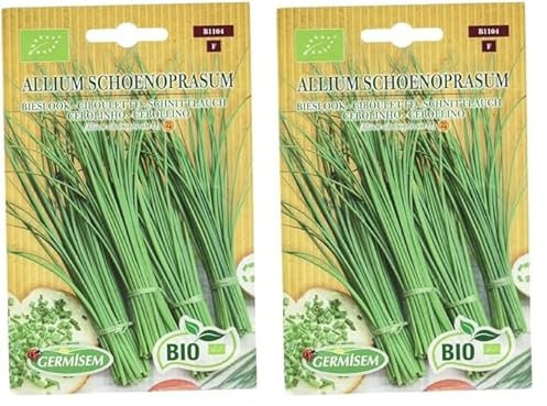 Germisem Orgánica Allium Schoenopasum Semillas de Cebollino 2 g, ECBIO1104 (Paquete de 2)