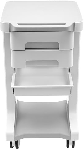 banborba Tragbar Medizinischer Wagen mit 2 Schubladen, Salonwagen Kosmetikwagen, Beauty Salon Trolley mit Rädern, Friseur Rollwagen, Gerätewagen Arbeitswagen mit Ablagefach, 41 x 41 x 67cm (Grau)