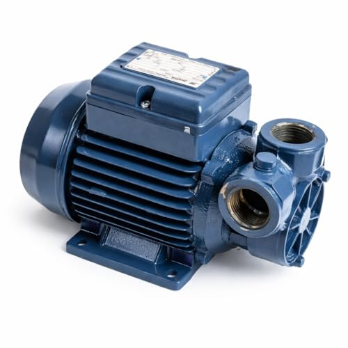 Elektropumpe für Putzmaschine, elektrische Pumpe für Mörtel und Putz, hohe Durchflussmenge und Leistung, ideal für Bauanlagen und Putzmaschinen (dreiphasig)