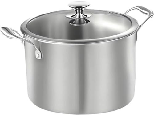 Ø 26 cm Edelstahl Suppentopf Mit Glasdeckel, Induktionsgeeignet (6.4L)