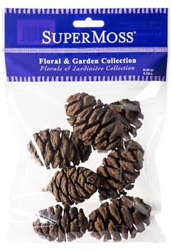 SuperMoss (24515) Sequoia Pine Cones - Natural Pine Cones for Crafts Holiday Decor Vase Filler Centerpieces and Rustic Home Decoration, 7pcs 2.5 in