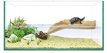 ICA Turtle Kit Ö 40 Reptiselva 1000 g