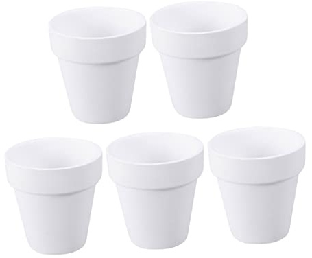 INOOMP Paquete de 5 Macetas de Cerámica White de 10 X 10 Cm para Plantas de Interior de Terracota para Decoración del Hogar con Suculentas