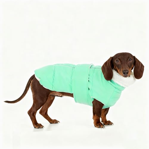 Winterjacke für Dackel & Windspiel, Wasserdichter Hundemantel mit Fleecefutter, Gepolsterter Schneeanzug für kleine Hunde(Grün, S (3.5–6 kg))