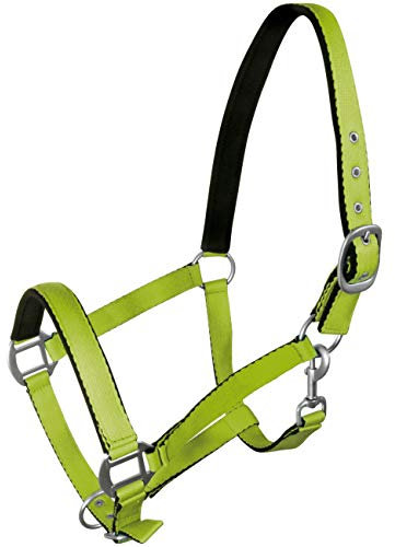 York Pferde Halfter Fluo weich unterlegt Stallhalfter Weidehalfter Reithalfter (Cob, grün)