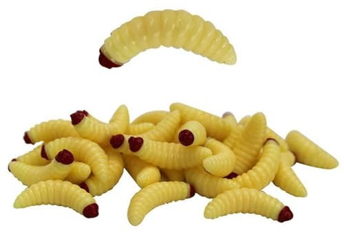 Generisch Bienenmaden Angelköder Imitat, 25 Stück, UV-Aktiv, Naturfarben, Weiß, 2,4 cm, WASP, Köder, Angeln, Kunstköder, Forellen Forellenköder (Naut)