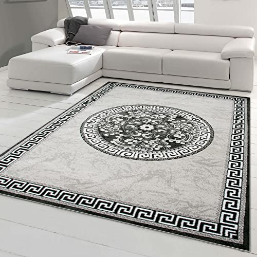 Traum Tapis d'Orient avec Fil Scintillant | Bordures & Ornements | Gris crème 160x220 cm